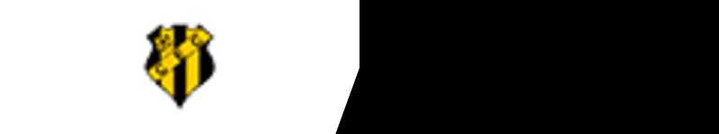 Estatísticas de castanhal x cameta
